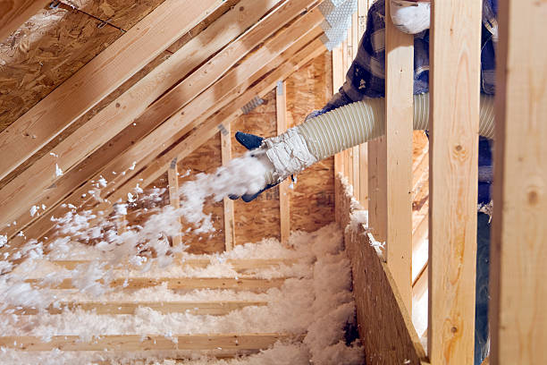 Best Eco-Friendly or Green Insulation Solutions in Chester, IL